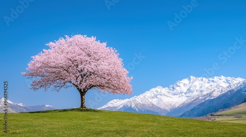 Blooming Cherry Tree in a Mountain Meadow