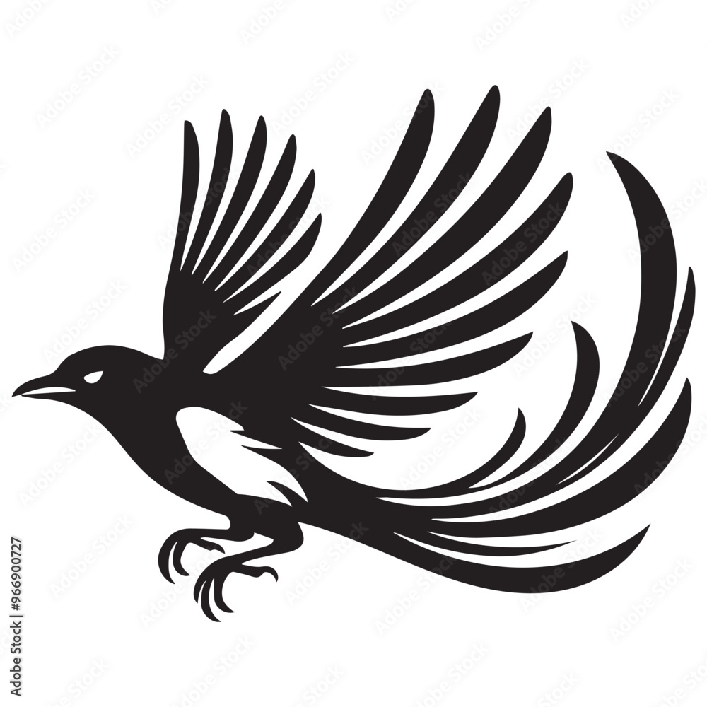 Fototapeta premium American magpie Clipart - Black-billed Magpie Vector Illustration in black and white 