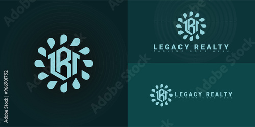 Modern hexagon vector initial letter LR or RL logo in blue color isolated on multiple background colors. The logo is suitable for real estate licensing service business logo design inspiration