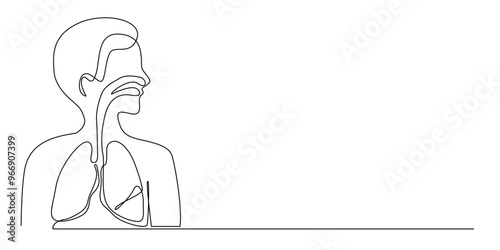 continuous line drawing of the human respiratory system.one line drawing of the human respiratory organs nose to lungs.single line vector illustration of medical anatomy.minimalist lines.eps 10