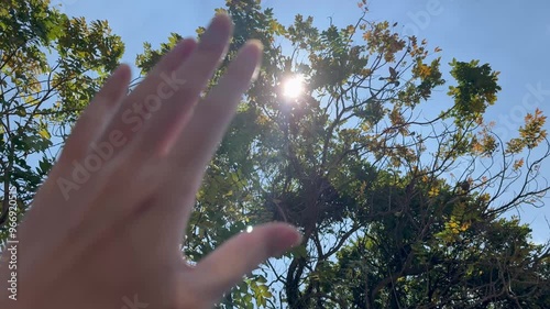 Footage of a hand dazzled by the sun light from behind a Frangipani tree. Hand closing the sun as the face is dazzled by the intensity of sunlight, under an open park outdoor space.
