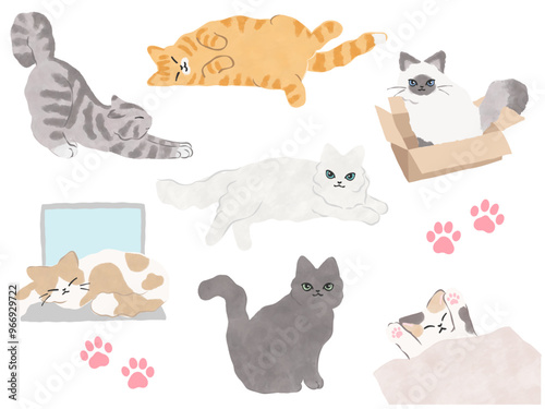 猫のイラストセット　ベクター
