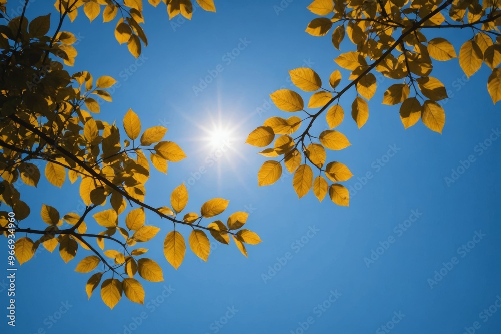 nature bold blue background nature bold blue background