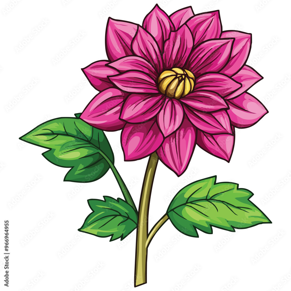 Obraz premium vector magenta dahlia flower clipart with green leaves on the stem