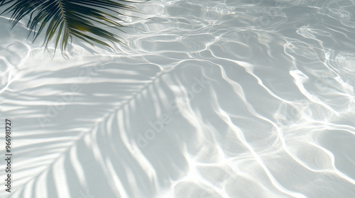 A palm leaf casts a shadow on the surface of a calm pool of water