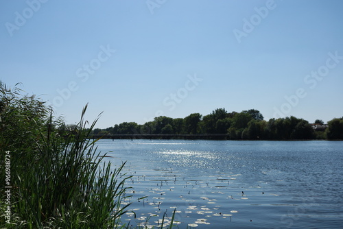 Hnylopiat River within the city of Berdychiv, Ukraine, on a sunny day, with green reeds in the foreground and a distant pedestrian bridge in the background.