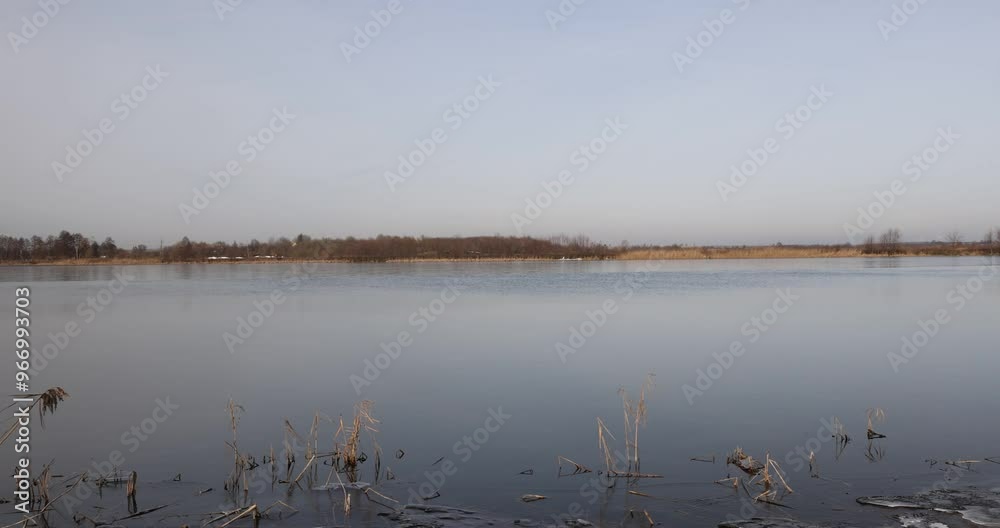 dark muddy lake water in winter without snow, frozen lake with waves on the outside at the end of winter in Europe dark muddy lake water in winter without snow, frozen lake with waves on the outside at the end of winter in Europe