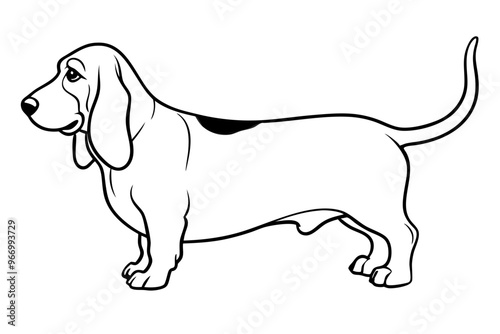 Basset Hound silhouette vector illustration photo