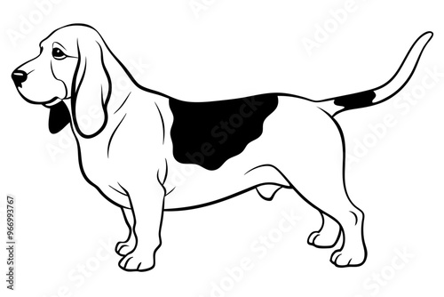 Basset Hound silhouette vector illustration photo