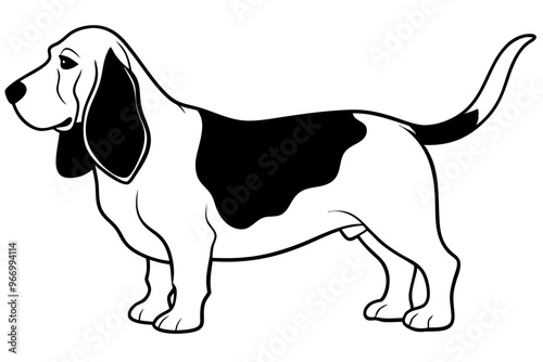 Basset Hound silhouette vector illustration photo