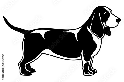 Basset Hound silhouette vector illustration photo