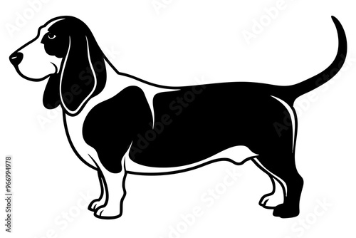 Basset Hound silhouette vector illustration photo