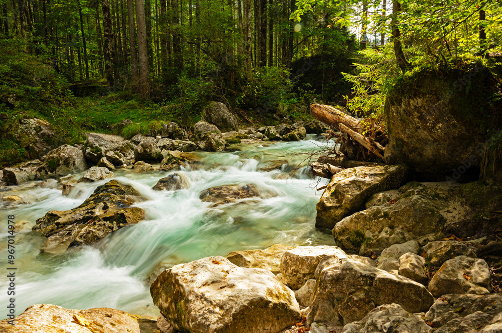 Fototapeta premium Ramsauer Ache river in the magical forest near Ramsau in Bavaria