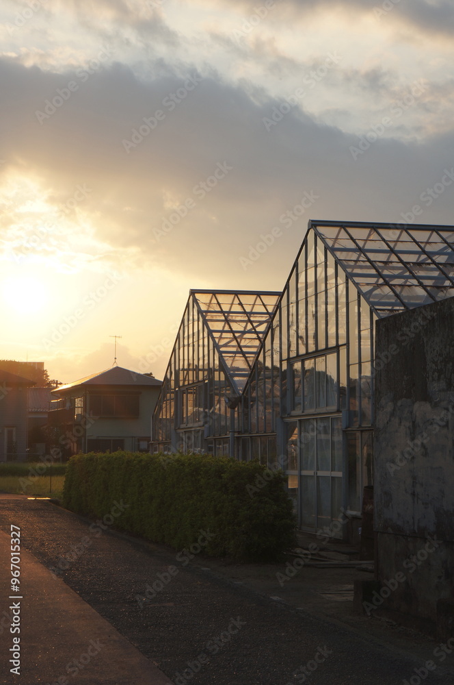 Obraz premium 夕日とビニールハウス