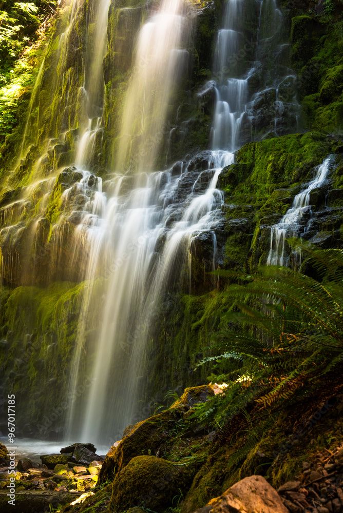 Obraz premium Cascading waterfall with moss-covered rocks at Proxy Falls