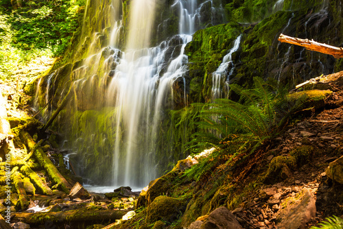 Bild auf Leinwand Cascading water over mossy rocks and logs at Proxy Falls, Eugene.