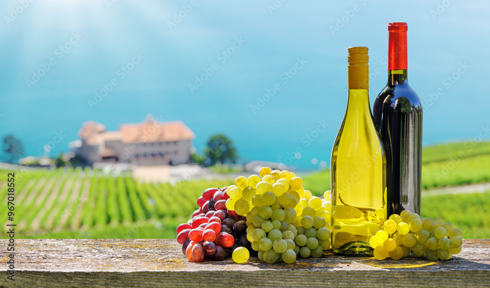 Fototapeta premium Bottles of red and white wine