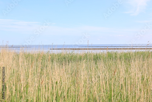 Blick auf die Küstenlandschaft der Insel Sylt bei Keitum photo