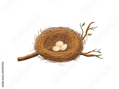 Bird nest holds eggs n a tree branch. hand drawn style