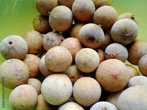 Lansium domesticum fruits commonly known as langsat or  lanzones close up. photo taken in malaysia photo