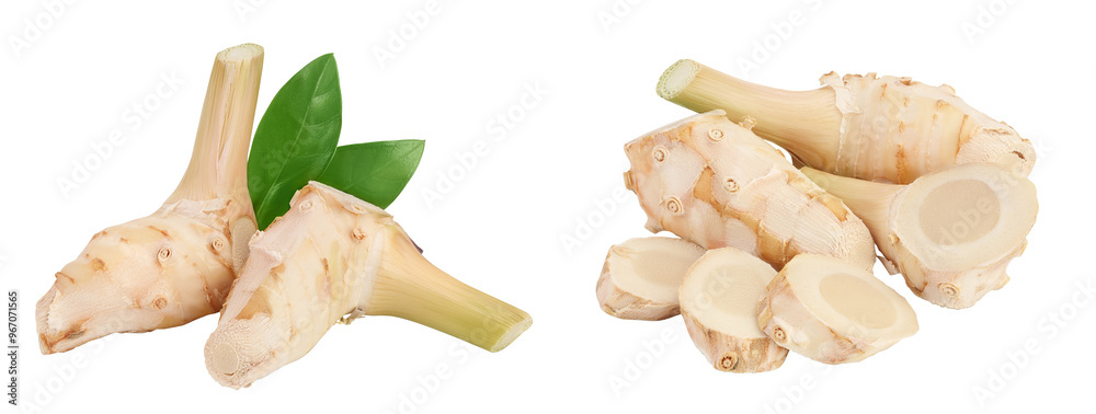 Fototapeta premium Fresh galangal root isolated on white background with full depth of field.