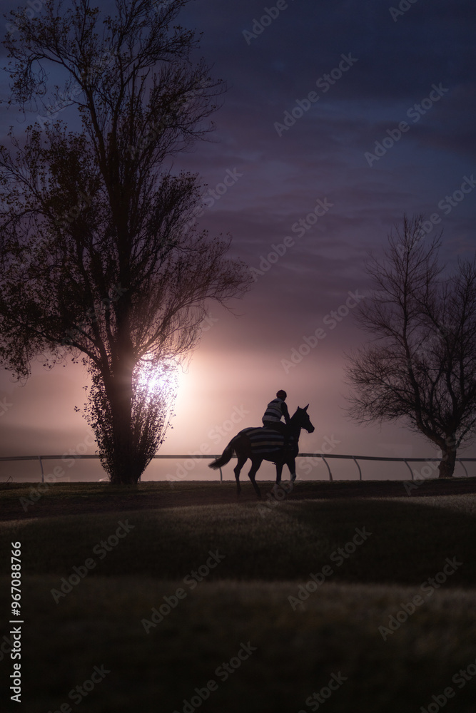 Silhouette Horse and rider at dawn under a purple sky Silhouette Horse and rider at dawn under a purple sky
