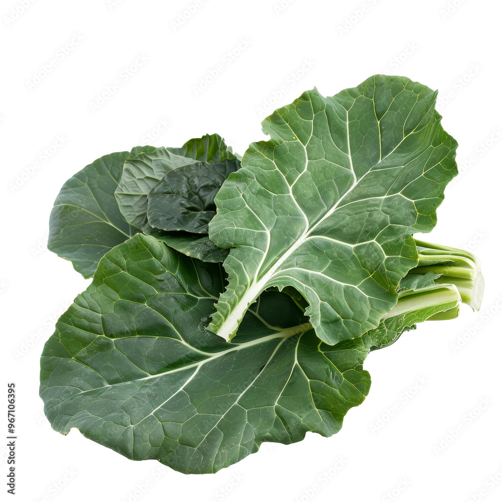 Fresh collard greens bunch harvested from a local garden, showcasing vibrant leaves and robust texture in early morning light Fresh collard greens bunch harvested from a local garden, showcasing vibrant leaves and robust texture in early morning light