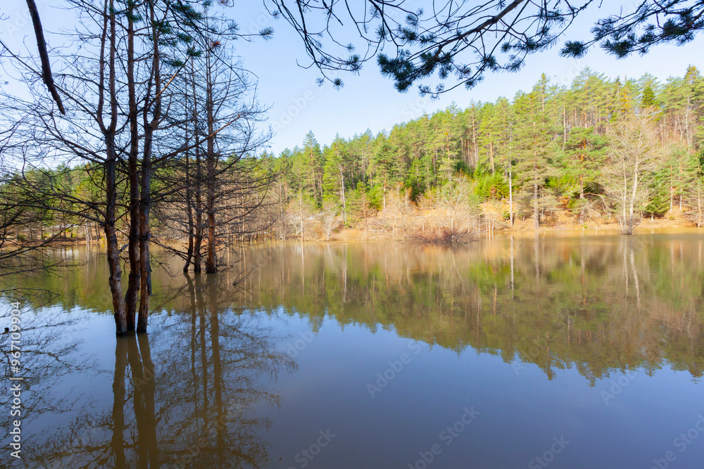 Bozcaarmut Dam Reservoir is located in Bozcaarmut Village of Pazaryeri district in Bilecik. Bozcaarmut Dam Reservoir is located in Bozcaarmut Village of Pazaryeri district in Bilecik.