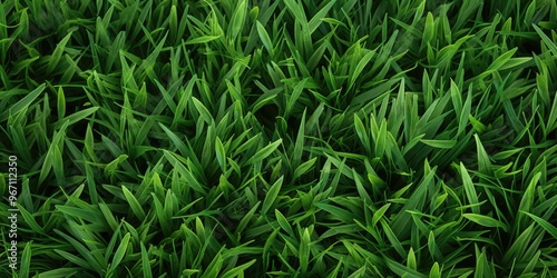 Lush green grass meadow close-up texture flat lay background