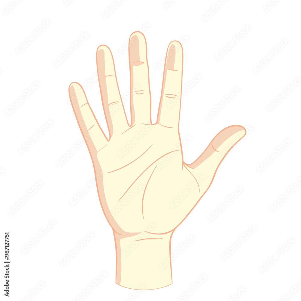 Human hand up. Hand drawn image of a hand up isolated on white background. Vector illustration. Human hand up. Hand drawn image of a hand up isolated on white background. Vector illustration.