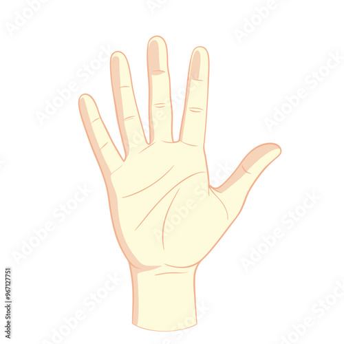 Human hand up. Hand drawn image of a hand up isolated on white background. Vector illustration.