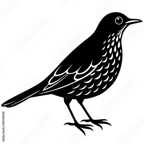 Thrush bird silhouette vector design on a white background 