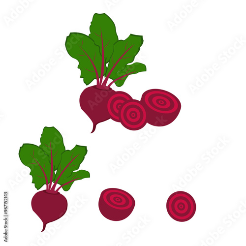 illustration of a set beetroot. beetroot from leaves to roots, sliced ​​half of the beetroot and a cross-section of the inside.