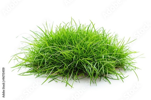 A pile of fresh green grass on a white surface