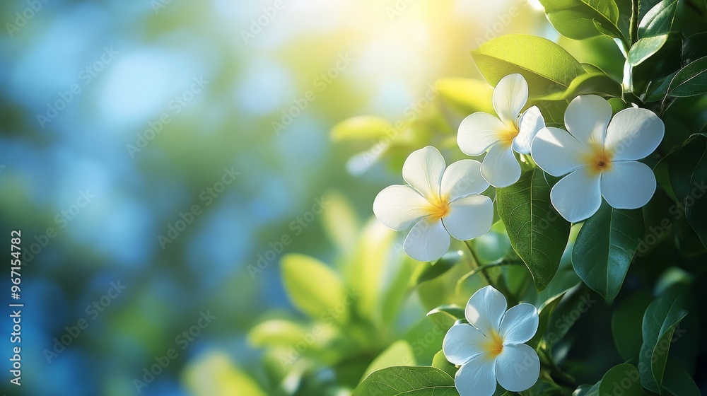 Realistic flowers and leaves against a bright blue sky, soft sunlight, high-definition photography, crisp details, nature in bloom Realistic flowers and leaves against a bright blue sky, soft sunlight, high-definition photography, crisp details, nature in bloom