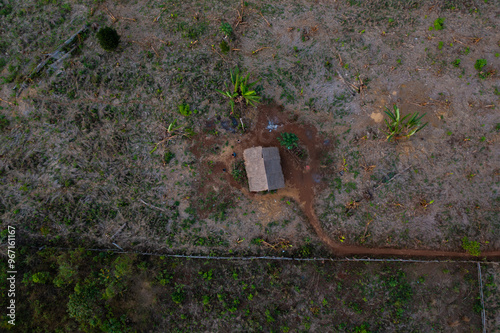 aerial view, forest, wildfire, burnt ground, green trees, nature, fire damage, environment, contrast, landscape, recovery, resilience, scorched earth, destruction, forest fire, aftermath, environmenta photo