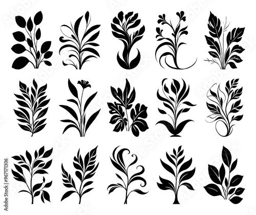 Black and white botanical pattern. For use in graphics, materials. Abstract plant shapes. Minimalist illustration for printing on wall decorations.