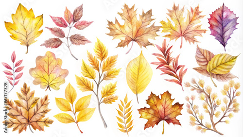 Watercolor Autumn Leaves Collection for Seasonal Designs and Crafts