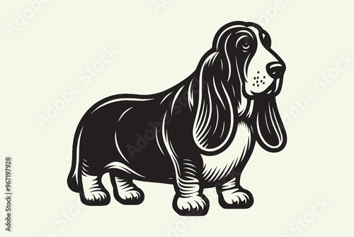 Basset hound dog. Engraving vintage black vector illustration, emblem, logo, print, icon