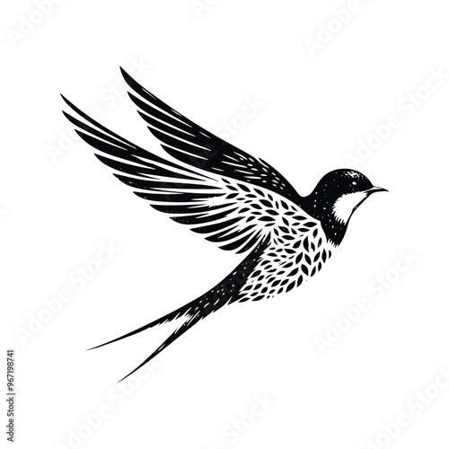 Swallow bird made by simple botanical drawing, black and white animal illustration