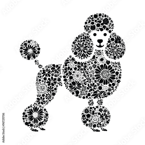 Poodle dog made by simple botanical drawing, black and white animal illustration black and white animal illustration