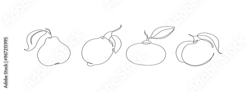 Abstract fruits drawing. Continuous one line art of fruits. Lemon lime mandarin pear peach fruit set. Vector minimalistic linear illustration