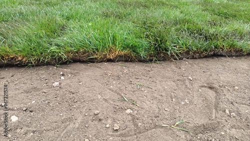 Foto A large lawn area filled with an abundance of grass and some dirt on it