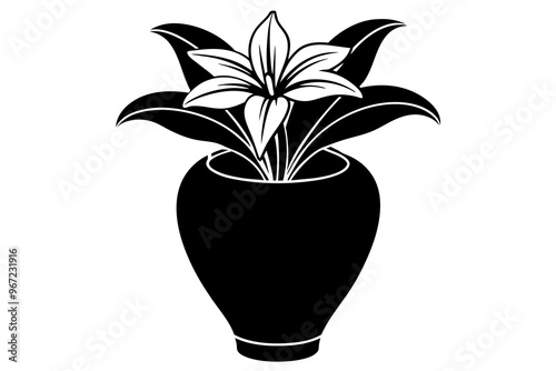 A Persian lily, white and majestic, sits in a vase on a white table, a flower of purity and devotion vector art illustration photo