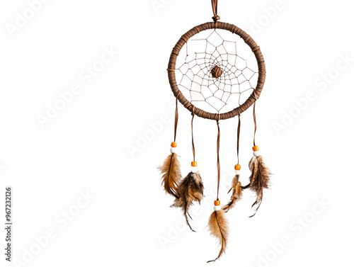 a brown dream catcher with feathers on a white wall
