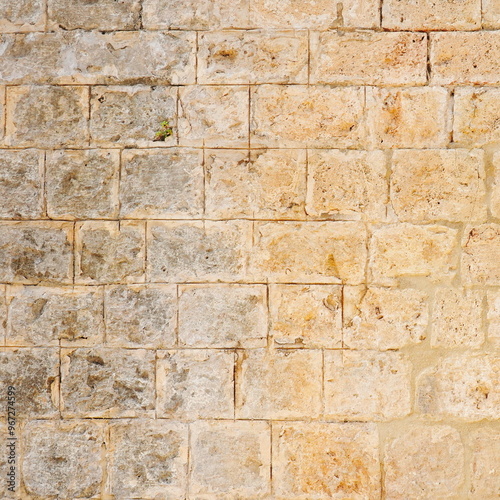 Wallpaper Mural Photo Stone Wall Textured Close Up Beige Color Torontodigital.ca