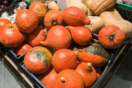 Orange-red pumpkins in a vegetable drawer in a supermarket photo