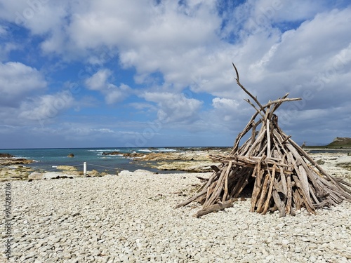 Driftwood Hut on the beach