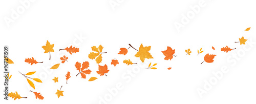 Autumn leaves in the wind. Wave of falling leaves.Leaf fall on a transparent background