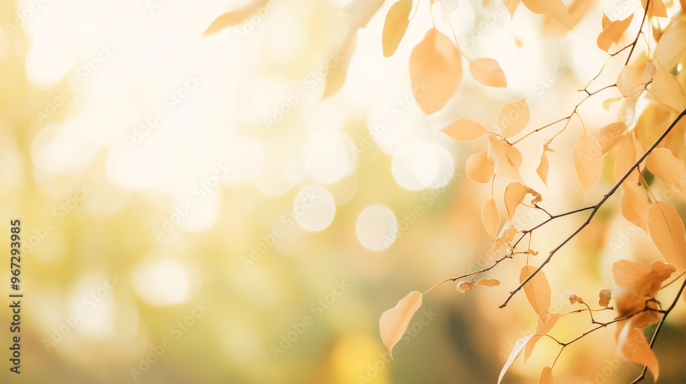 Beautiful background with autumn branches and leaves Beautiful background with autumn branches and leaves